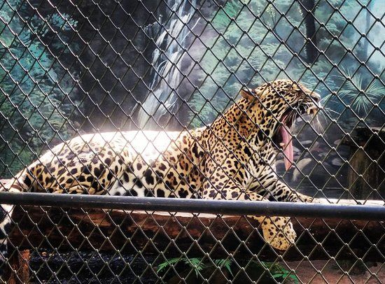 Zoológico Bosque Guarani